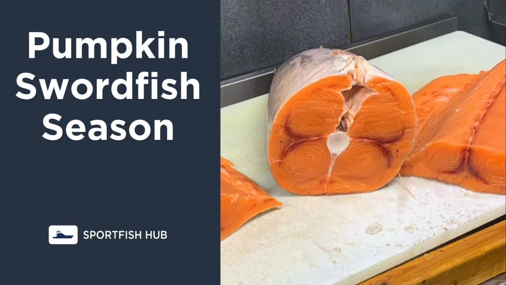 Pumpkin Swordfish