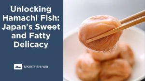 Unlocking Hamachi Fish Japan's Sweet and Fatty Delicacy