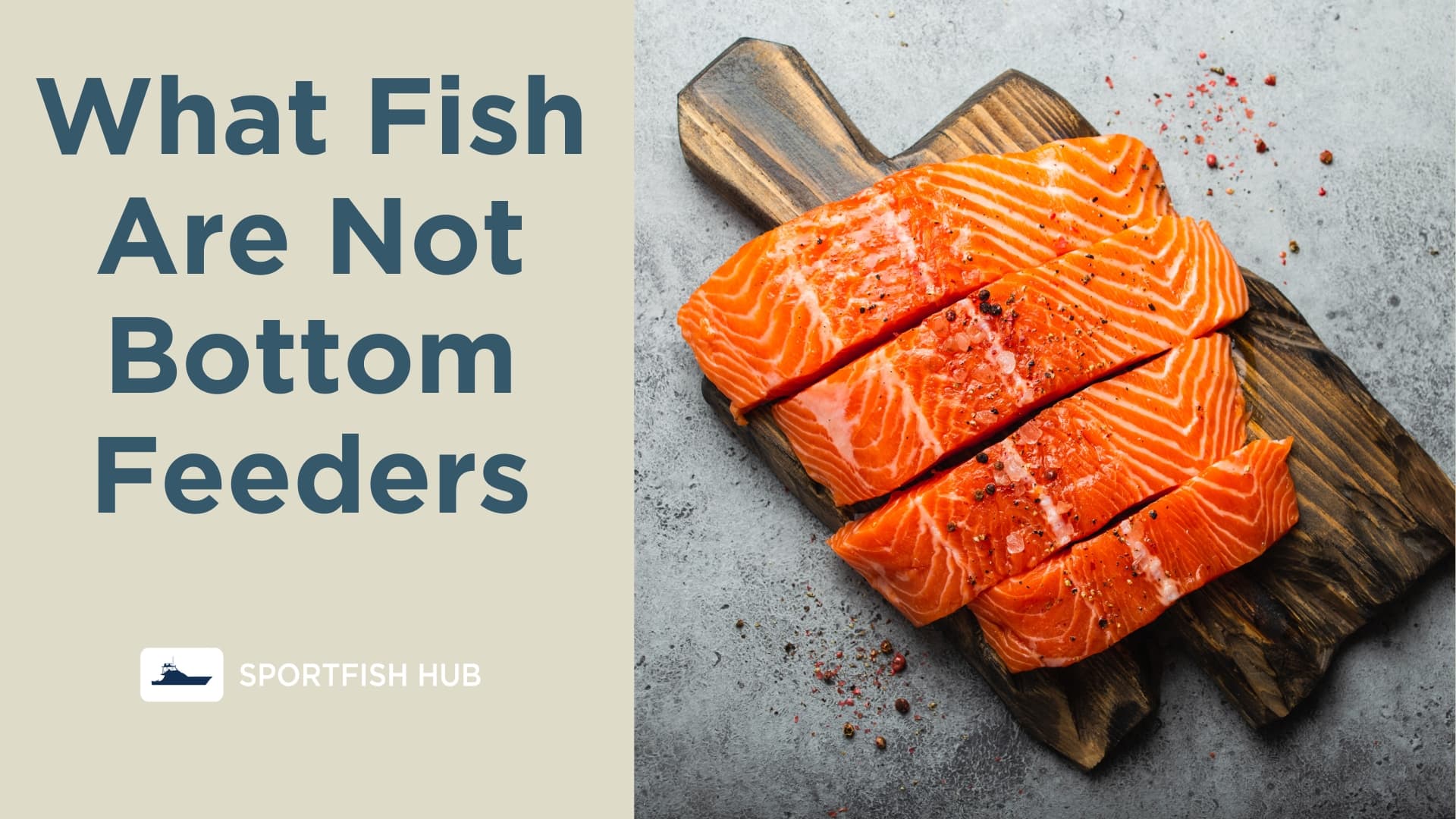 What Fish Are Not Bottom Feeders? 10 Healthy Alternatives