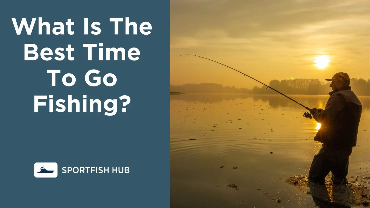 Best Time to Go Fishing Optimizing for Time of Day & Season