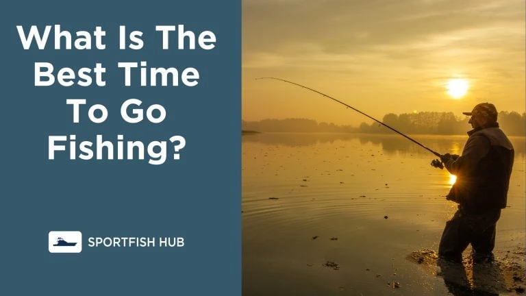 What Is The Best Time To Go Fishing