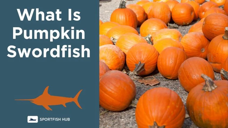 what is pumpkin swordfish