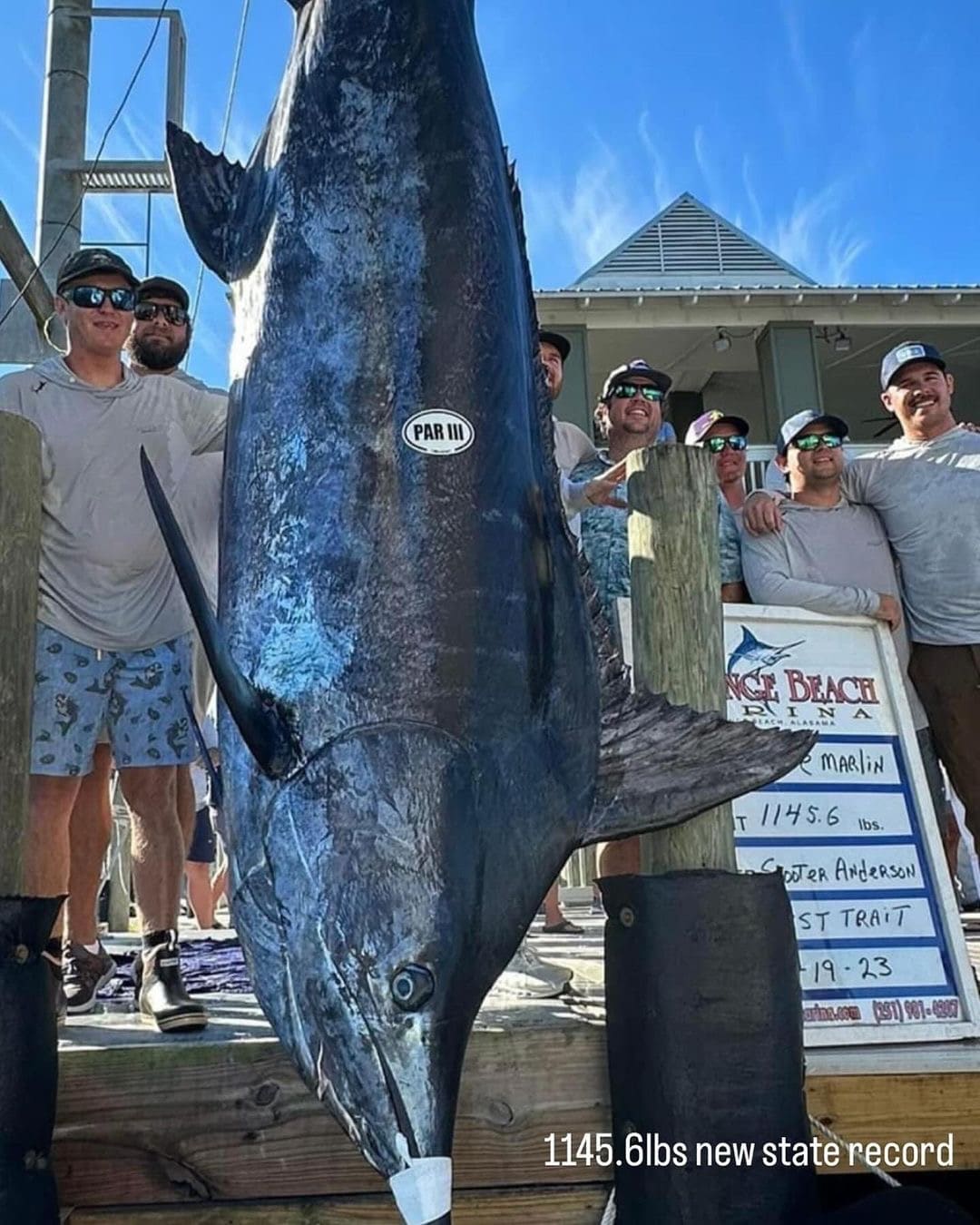 New Alabama State Blue Marlin Record Fish Caught