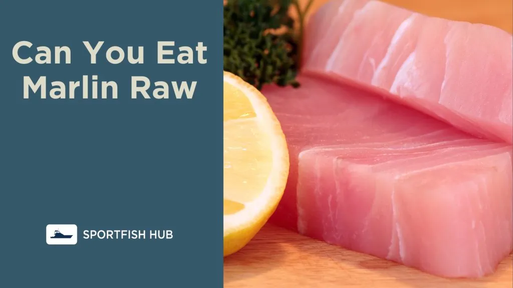 Can You Eat Marlin Raw